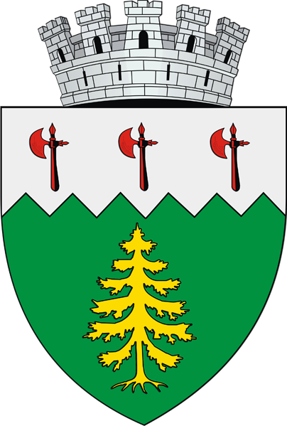 Logo Campulung Moldovenesc